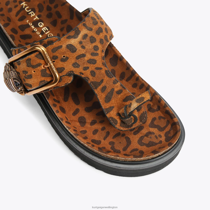 Kurt Geiger NZ - Kurt Geiger Mid Brown London Eagle Buckle T-Bar Slides PZ2X442