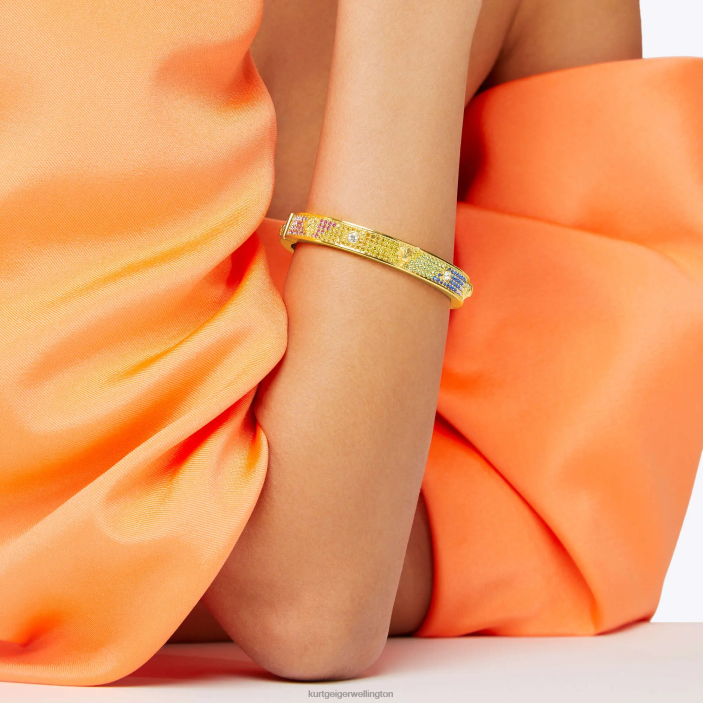 Kurt Geiger NZ - Kurt Geiger Multi/Other London Cryst Metal Eagle Bangle PZ2X178