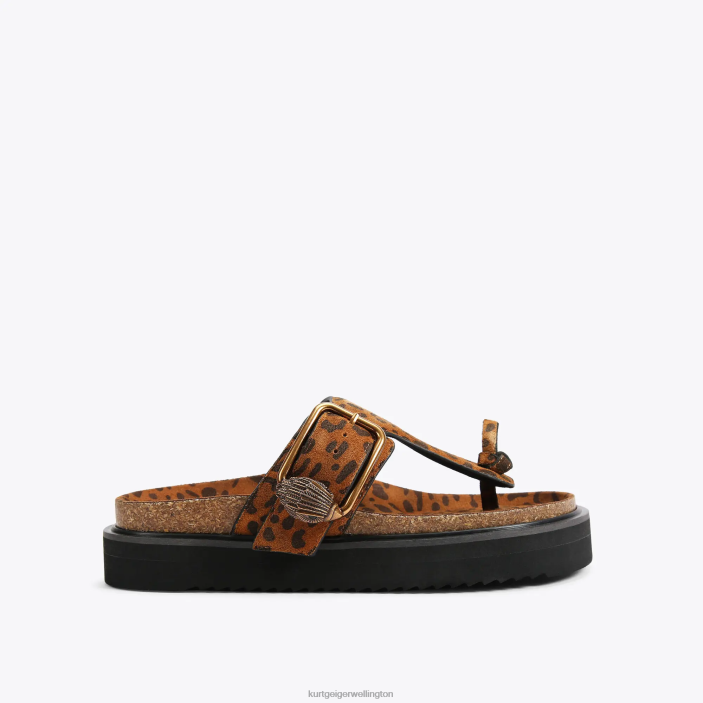 Kurt Geiger NZ - Kurt Geiger Mid Brown London Eagle Buckle T-Bar Slides PZ2X442